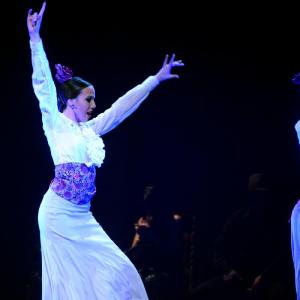 Fotografía de Granada en Danza - Conservatorio de Danza