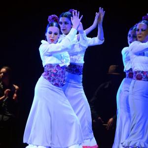 Fotografía de Granada en Danza - Conservatorio de Danza