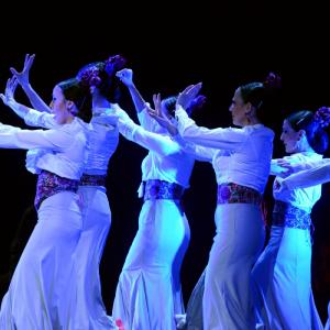 Fotografía de Granada en Danza - Conservatorio de Danza