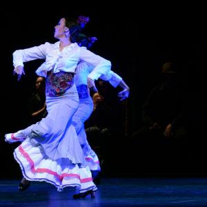 Fotografía de Granada en Danza - Conservatorio de Danza