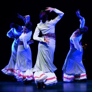 Fotografía de Granada en Danza - Conservatorio de Danza