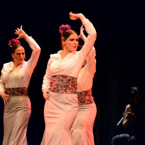 Fotografía de Granada en Danza - Conservatorio de Danza