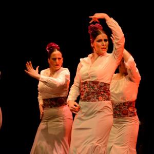 Fotografía de Granada en Danza - Conservatorio de Danza