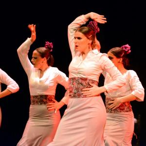 Fotografía de Granada en Danza - Conservatorio de Danza