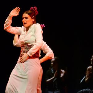 Fotografía de Granada en Danza - Conservatorio de Danza