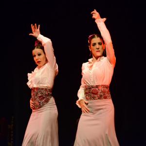 Fotografía de Granada en Danza - Conservatorio de Danza