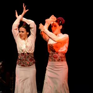 Fotografía de Granada en Danza - Conservatorio de Danza