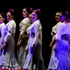 Fotografía de Granada en Danza - Conservatorio de Danza