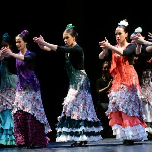 Fotografía de Granada en Danza - Conservatorio de Danza