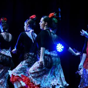 Fotografía de Granada en Danza - Conservatorio de Danza