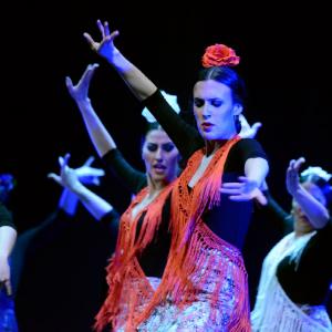 Fotografía de Granada en Danza - Conservatorio de Danza