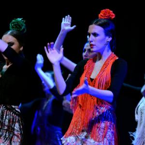 Fotografía de Granada en Danza - Conservatorio de Danza