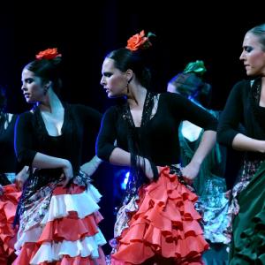Fotografía de Granada en Danza - Conservatorio de Danza