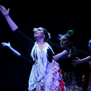 Fotografía de Granada en Danza - Conservatorio de Danza
