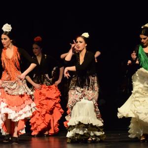 Fotografía de Granada en Danza - Conservatorio de Danza