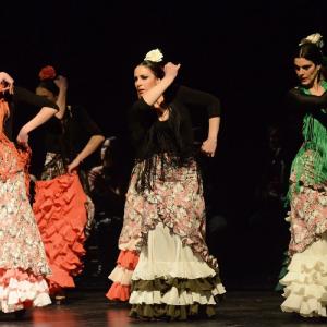 Fotografía de Granada en Danza - Conservatorio de Danza