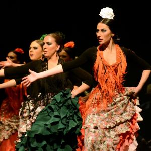Fotografía de Granada en Danza - Conservatorio de Danza