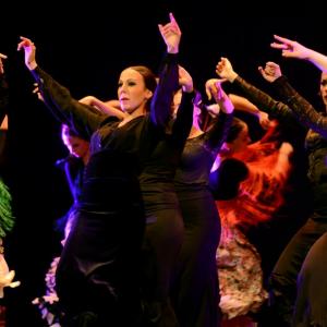 Fotografía de Granada en Danza - Conservatorio de Danza