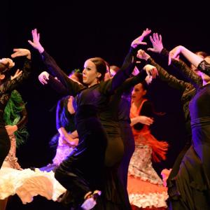 Fotografía de Granada en Danza - Conservatorio de Danza