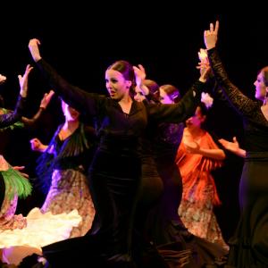 Fotografía de Granada en Danza - Conservatorio de Danza