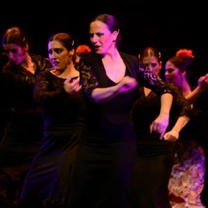 Fotografía de Granada en Danza - Conservatorio de Danza
