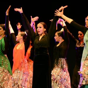 Fotografía de Granada en Danza - Conservatorio de Danza