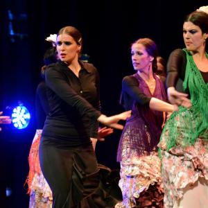 Fotografía de Granada en Danza - Conservatorio de Danza