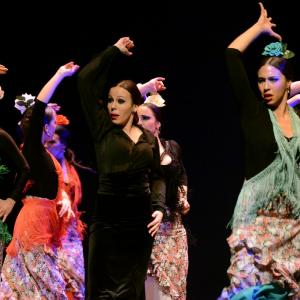 Fotografía de Granada en Danza - Conservatorio de Danza