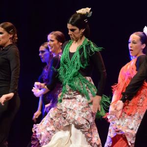 Fotografía de Granada en Danza - Conservatorio de Danza