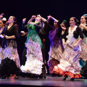 Fotografía de Granada en Danza - Conservatorio de Danza