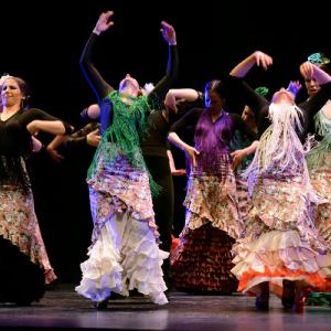 Fotografía de Granada en Danza - Conservatorio de Danza