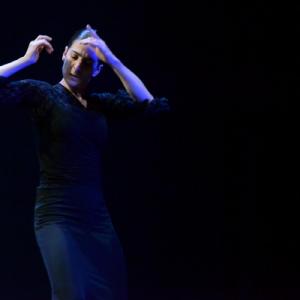 Fotografía de Granada en Danza - Conservatorio de Danza