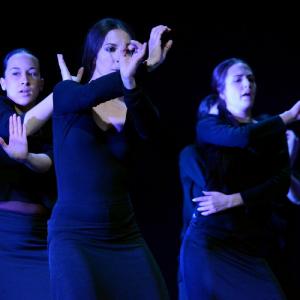 Fotografía de Granada en Danza - Conservatorio de Danza