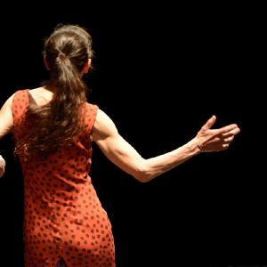 Fotografía de Carmen Werner, Provisional danza. Algún día - Provisional danza (Carmen Werner)
