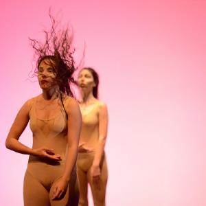 Fotografía de Muestra coreográfica andaluza: Danza contemporánea - Conservatorio de Danza
