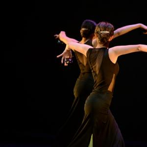 Fotografía de Muestra coreográfica andaluza: Danza española - Conservatorio de Danza
