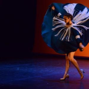 Fotografía de Muestra coreográfica andaluza: Danza española - Conservatorio de Danza