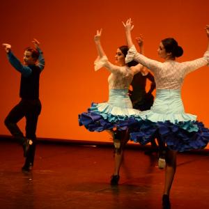 Fotografía de Muestra coreográfica andaluza: Danza española - Conservatorio de Danza