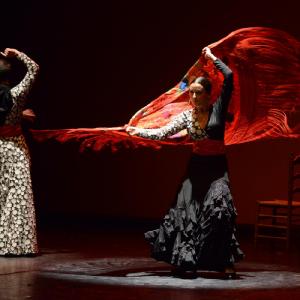 Fotografía de Muestra coreográfica andaluza: Balie flamenco - Conservatorio de Danza