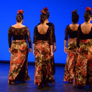 Fotografía de Muestra coreográfica andaluza: Balie flamenco - Conservatorio de Danza