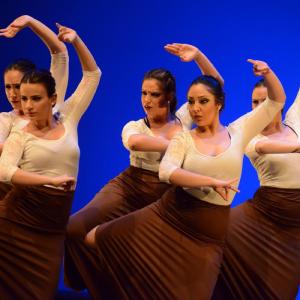 Fotografía de Muestra coreográfica andaluza: Balie flamenco - Conservatorio de Danza