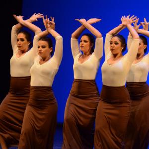 Fotografía de Muestra coreográfica andaluza: Balie flamenco - Conservatorio de Danza