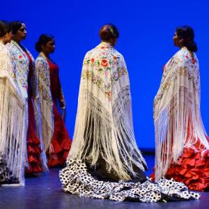 Fotografía de Muestra coreográfica andaluza: Balie flamenco - Conservatorio de Danza