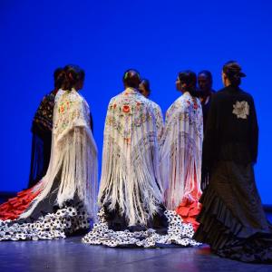Fotografía de Muestra coreográfica andaluza: Balie flamenco - Conservatorio de Danza
