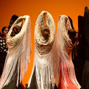 Fotografía de Muestra coreográfica andaluza: Balie flamenco - Conservatorio de Danza