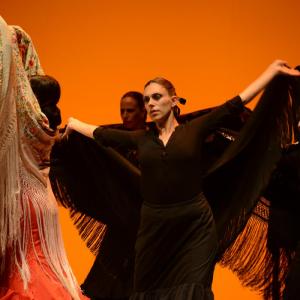 Fotografía de Muestra coreográfica andaluza: Balie flamenco - Conservatorio de Danza