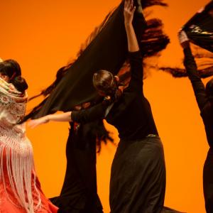 Fotografía de Muestra coreográfica andaluza: Balie flamenco - Conservatorio de Danza