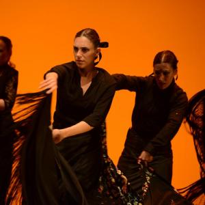 Fotografía de Muestra coreográfica andaluza: Balie flamenco - Conservatorio de Danza