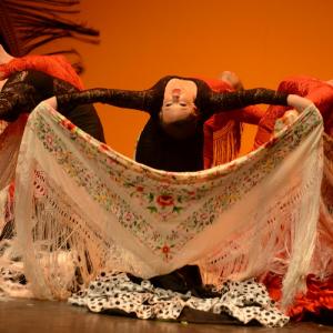 Fotografía de Muestra coreográfica andaluza: Balie flamenco - Conservatorio de Danza