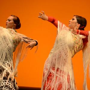 Fotografía de Muestra coreográfica andaluza: Balie flamenco - Conservatorio de Danza